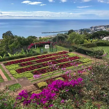 Sol & Mar Casa Branca דירה *